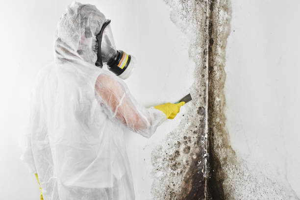 Best Office Mold Removal Services  in Emporia, KS