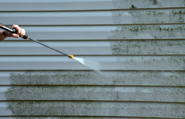 Mold Removal Process in Emporia, KS