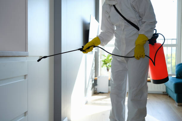 Best Mold Removal Specialists  in Emporia, KS