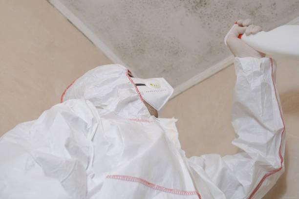 Best Home Mold Removal  in Emporia, KS