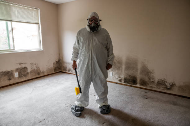 Trusted Emporia, KS Mold Removal Experts