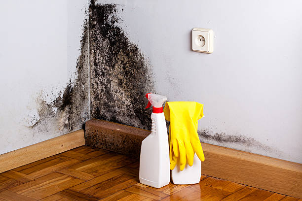Water Damage Restoration in Emporia, KS