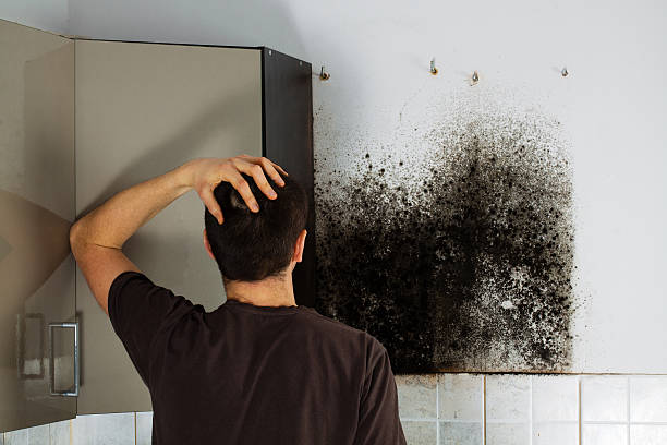 Best Mold Testing  in Emporia, KS