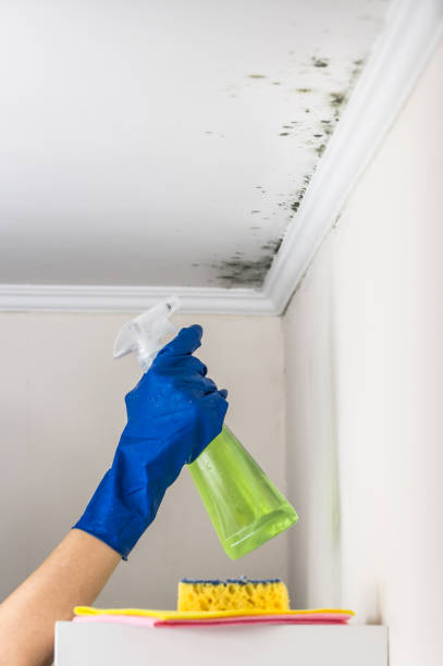 Best Affordable Mold Removal  in Emporia, KS
